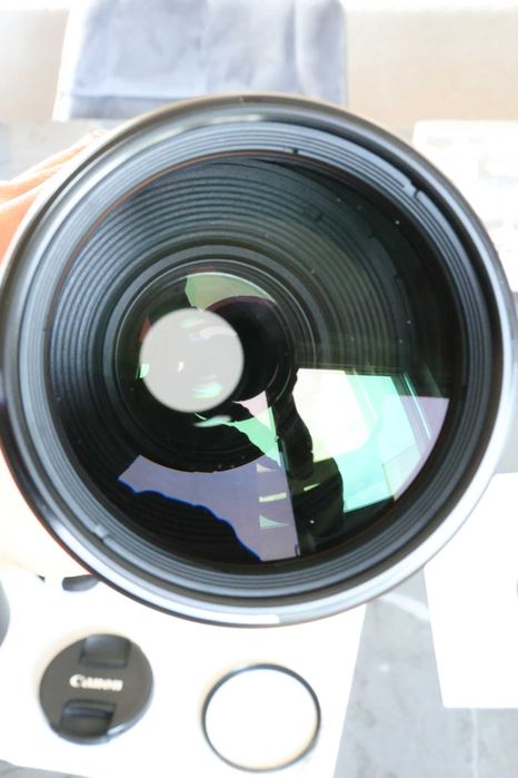 Canon EF 100-400mm f/4.5-5.6 L IS II USM