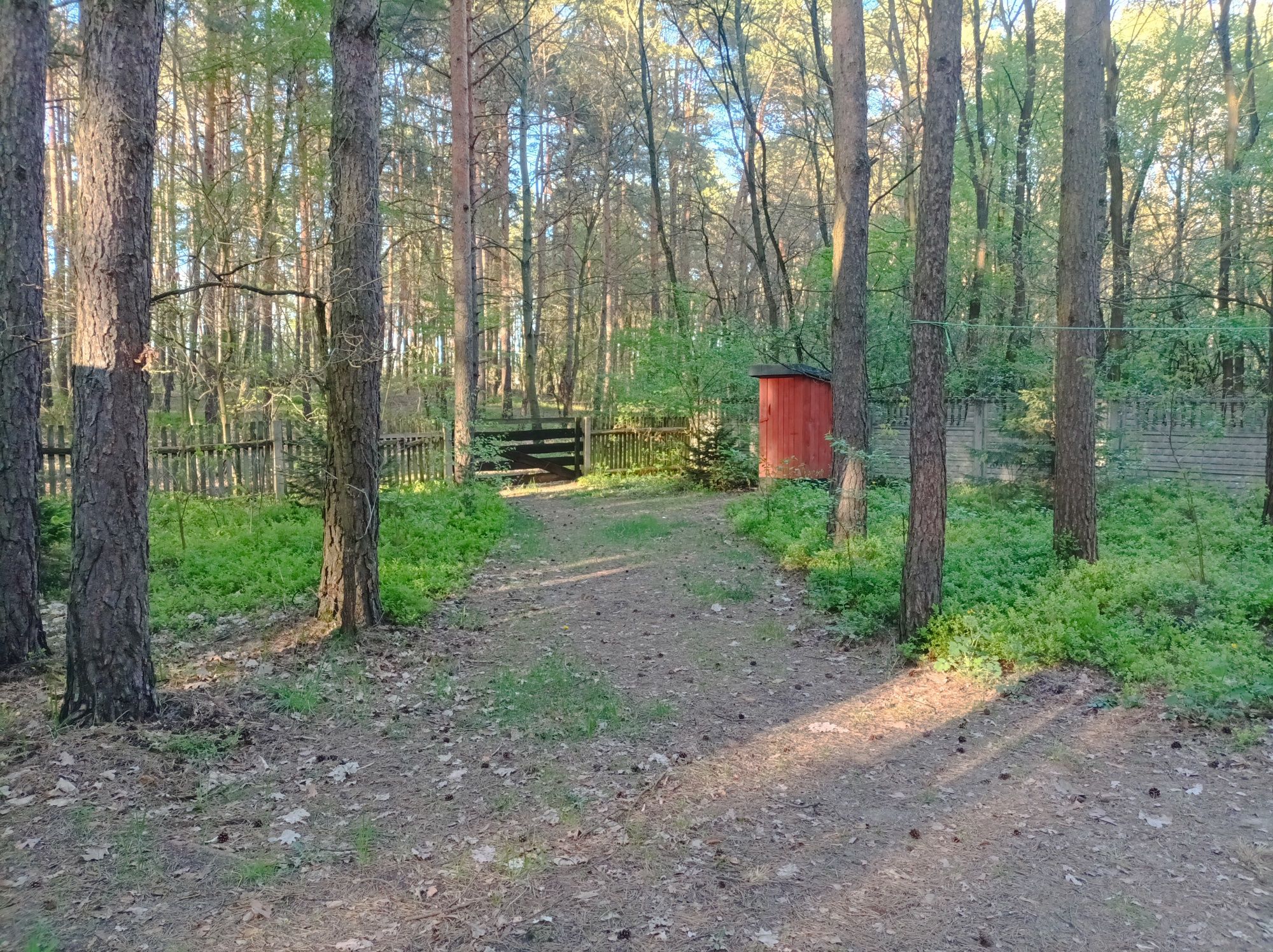 Wynajmę domek letniskowy.
