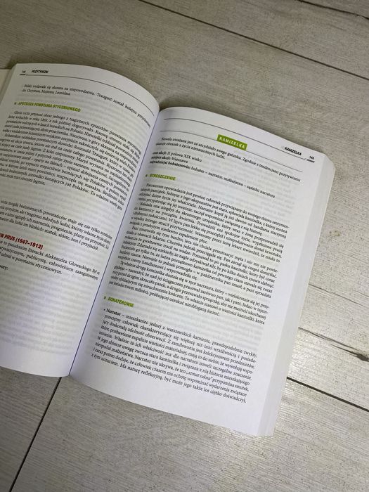 Repetytorium maturzysty język polski greg poziom podstawowy i rozsz