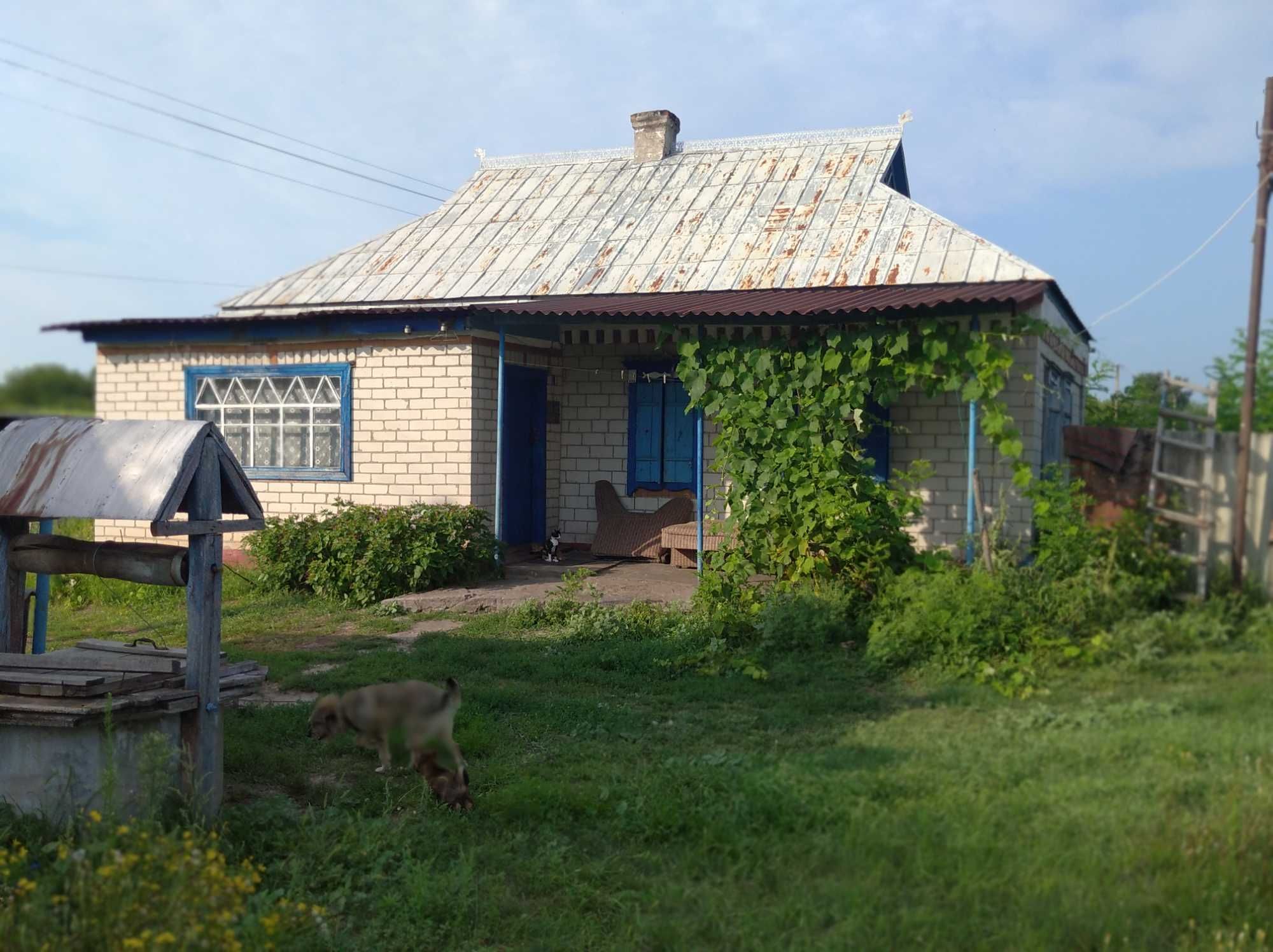Земельну ділянку 2,4 га. в селі Шульгівка,
