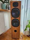 Kolumny podłogowe Tannoy Mercury M5