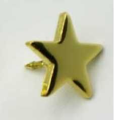 PIN WPINKA przypinka znaczek gwiazdka złota gwiazda