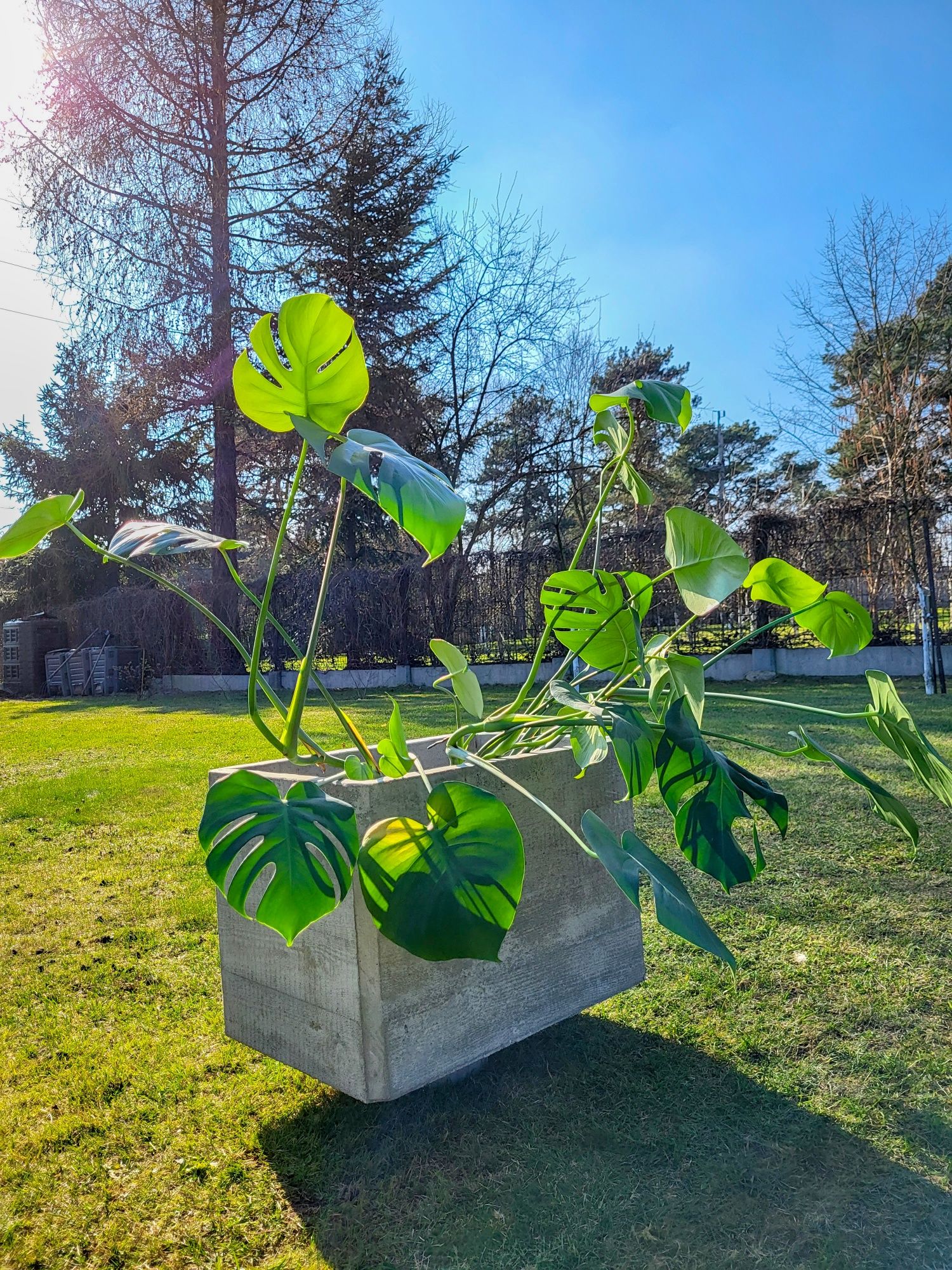 Duża donica betonowa