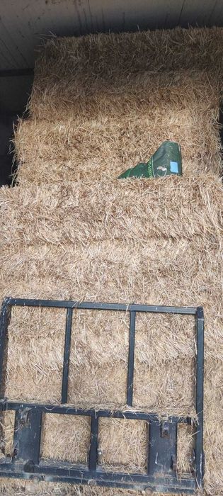 Fardos de feno médios