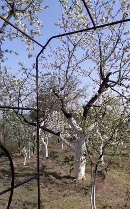 Продається охайна дача