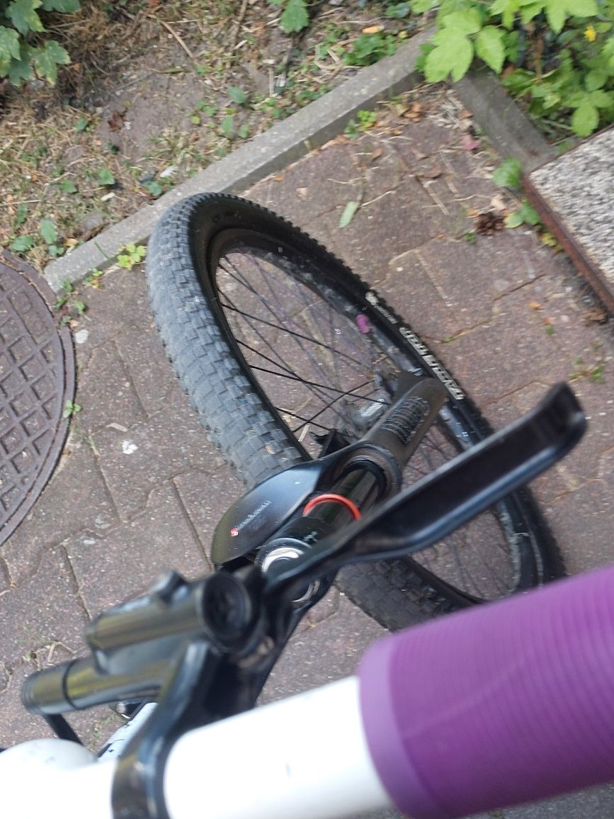 Rower dirt prodigi