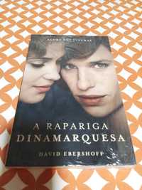 Vendo livro "A rapariga dinamarquesa"