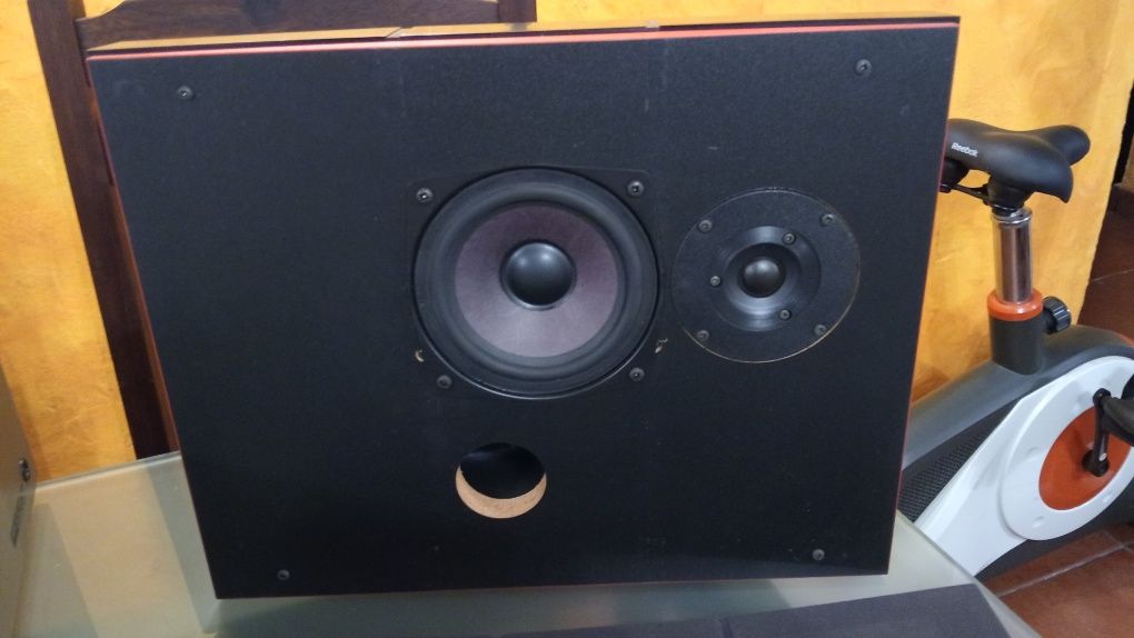 Bang & Olufsen Beovox RL 35