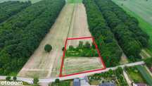 Działka siedliskowa 48ar w Łęczycy 2km od Bychawy