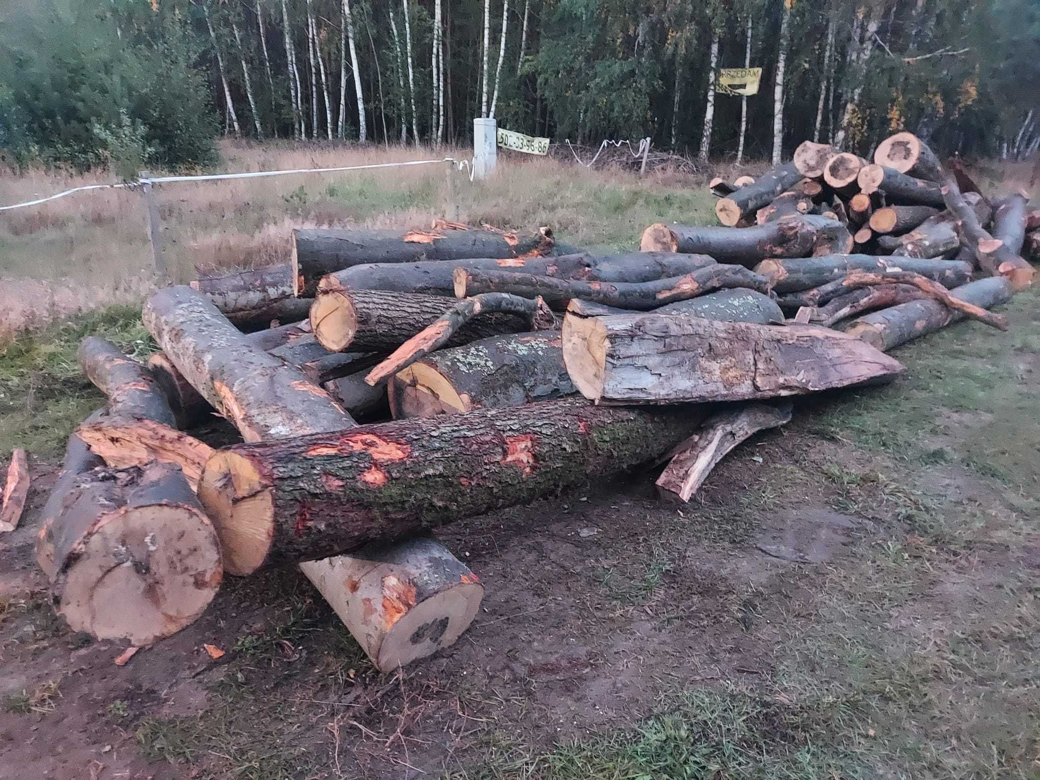 Drewno kominkowe twarde - uczciwe metry z lasu