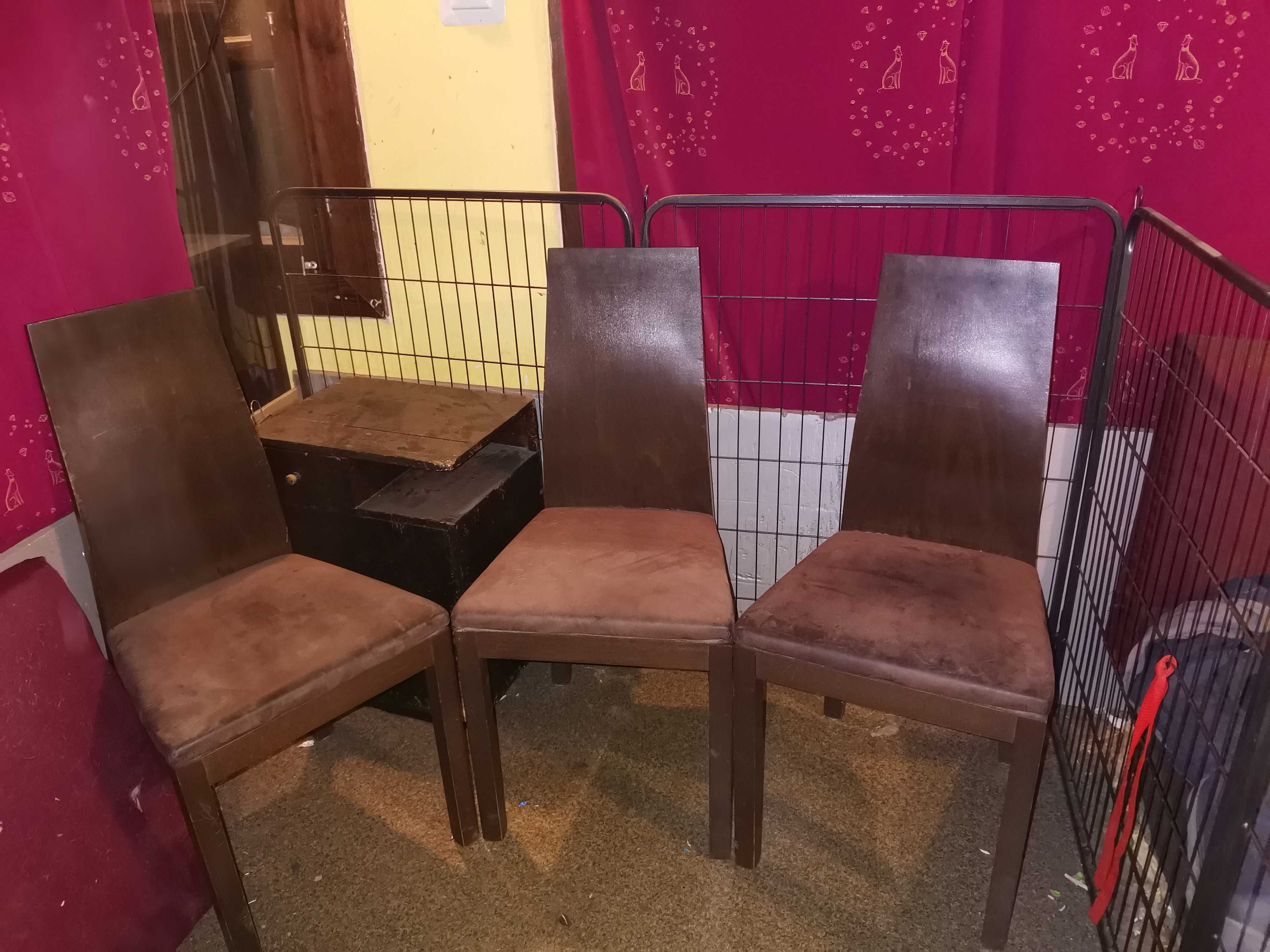 Komplet 4 porządnych stabilnych krzeseł kolor orzech siedziska nubuk