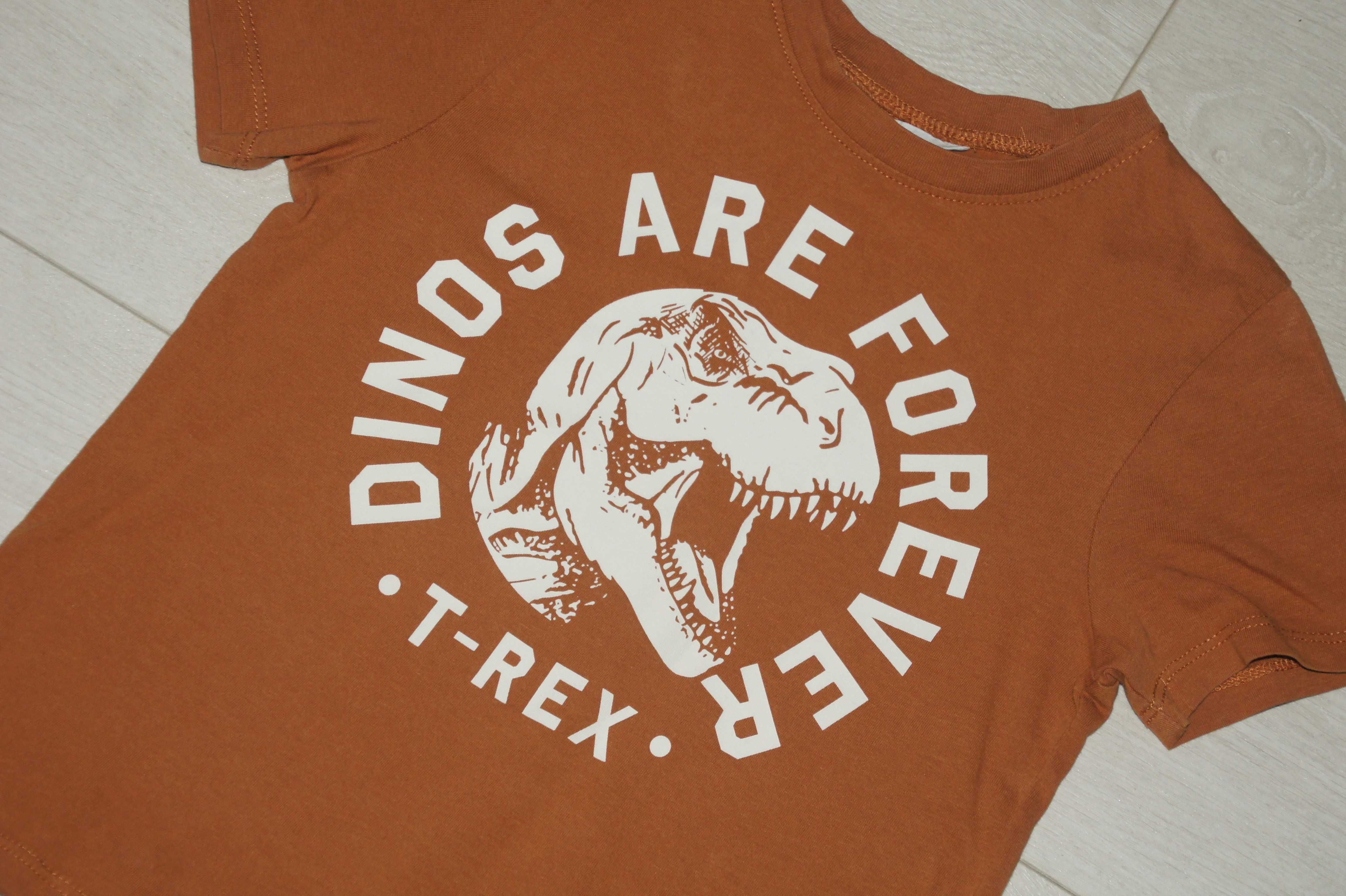 H&M   T-shirt z T-Rexem