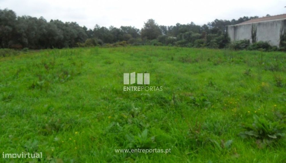 Terreno Agrícola - Santa Marta de Portuzelo