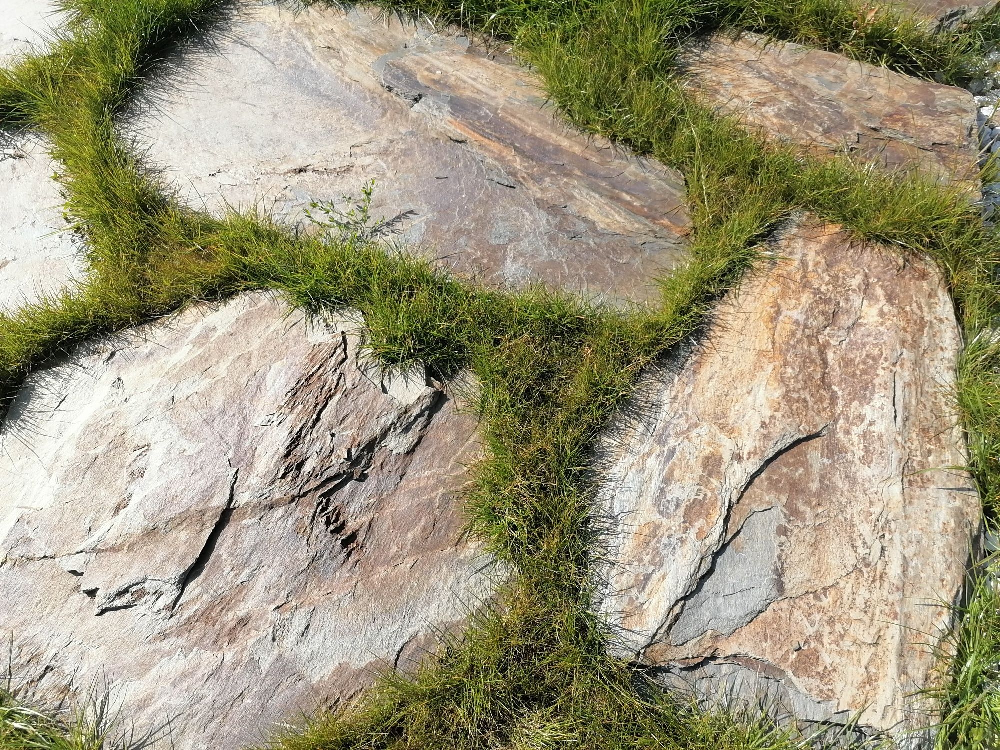 Kamień na ścieżkę oczko łupek szarogłazowy twardy płaski gnejs gr 3-6