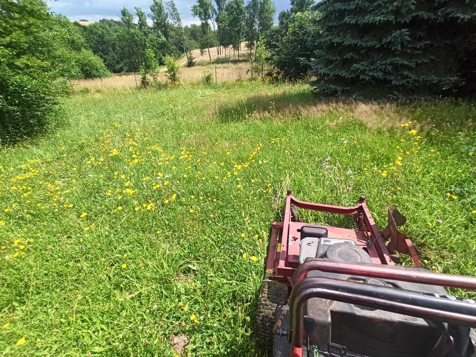 Wycinka i pielęgnacja drzew, ogrodnik, odśnieżanie dachów, frezowanie