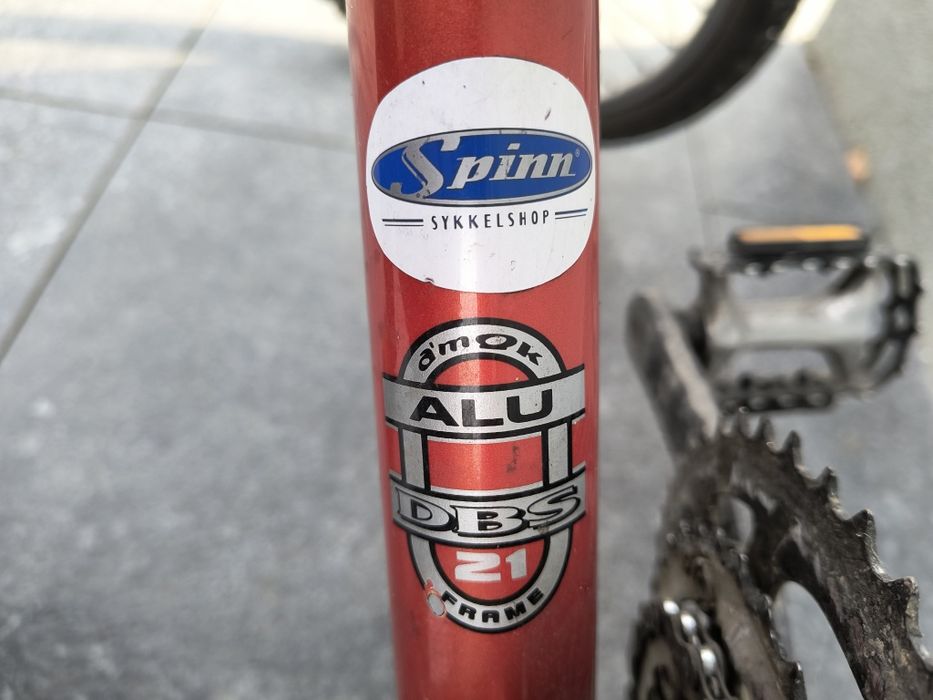 Rower męski  DBS rama 21"