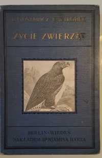 Życie zwierząt Ptaki, B. Gustawicz, E. Wyrobek