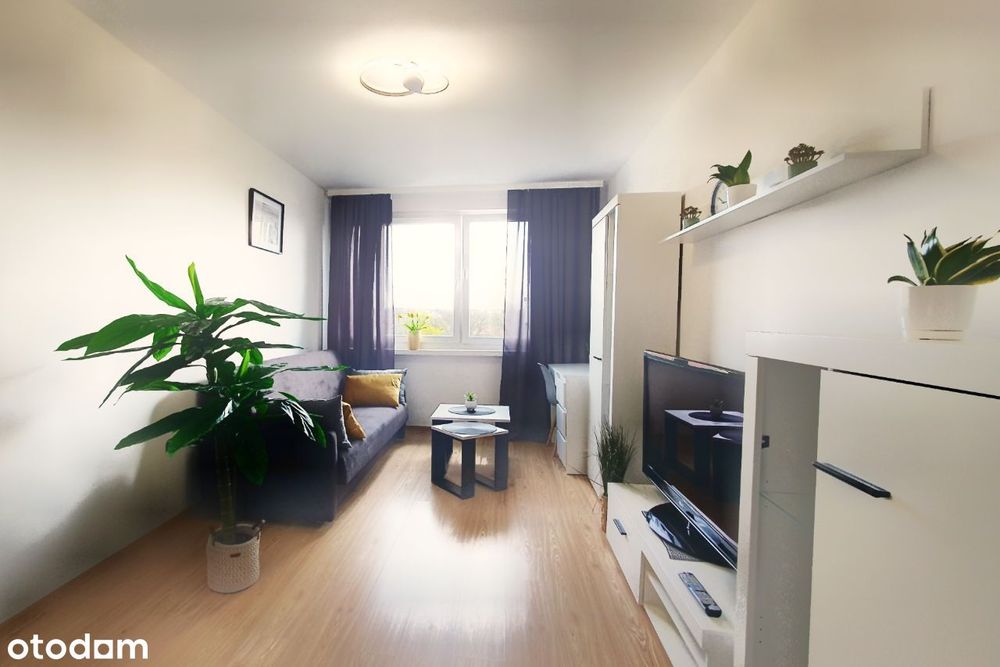 Mieszkanie do wynajęcia od 1 grudnia  2025