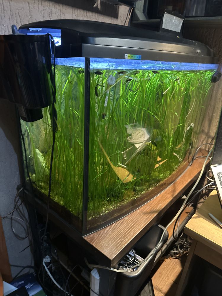 Akwarium  z wyposażeniem 250l
