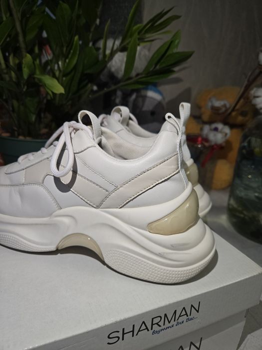 Шкіряні Жіночі Кросівки  Tomfrie