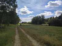 Sprzedam działkę budowlano-usługową (PUR)w miejscowości Pruszyn-Pieńki