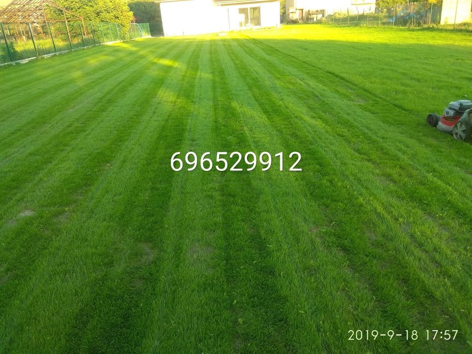 zakładania trawnika