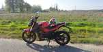 Junak 905  50/80