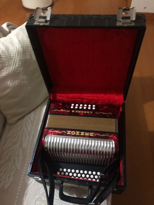 Concertina como nova