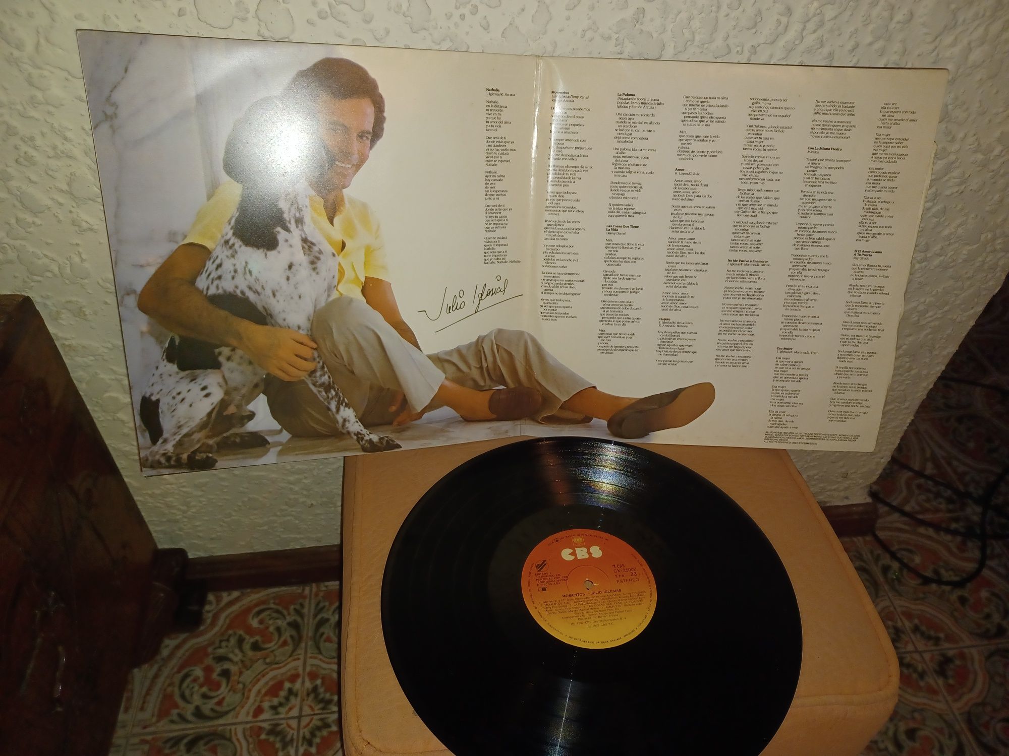 Vinil de Júlio Iglesias um bom clássico