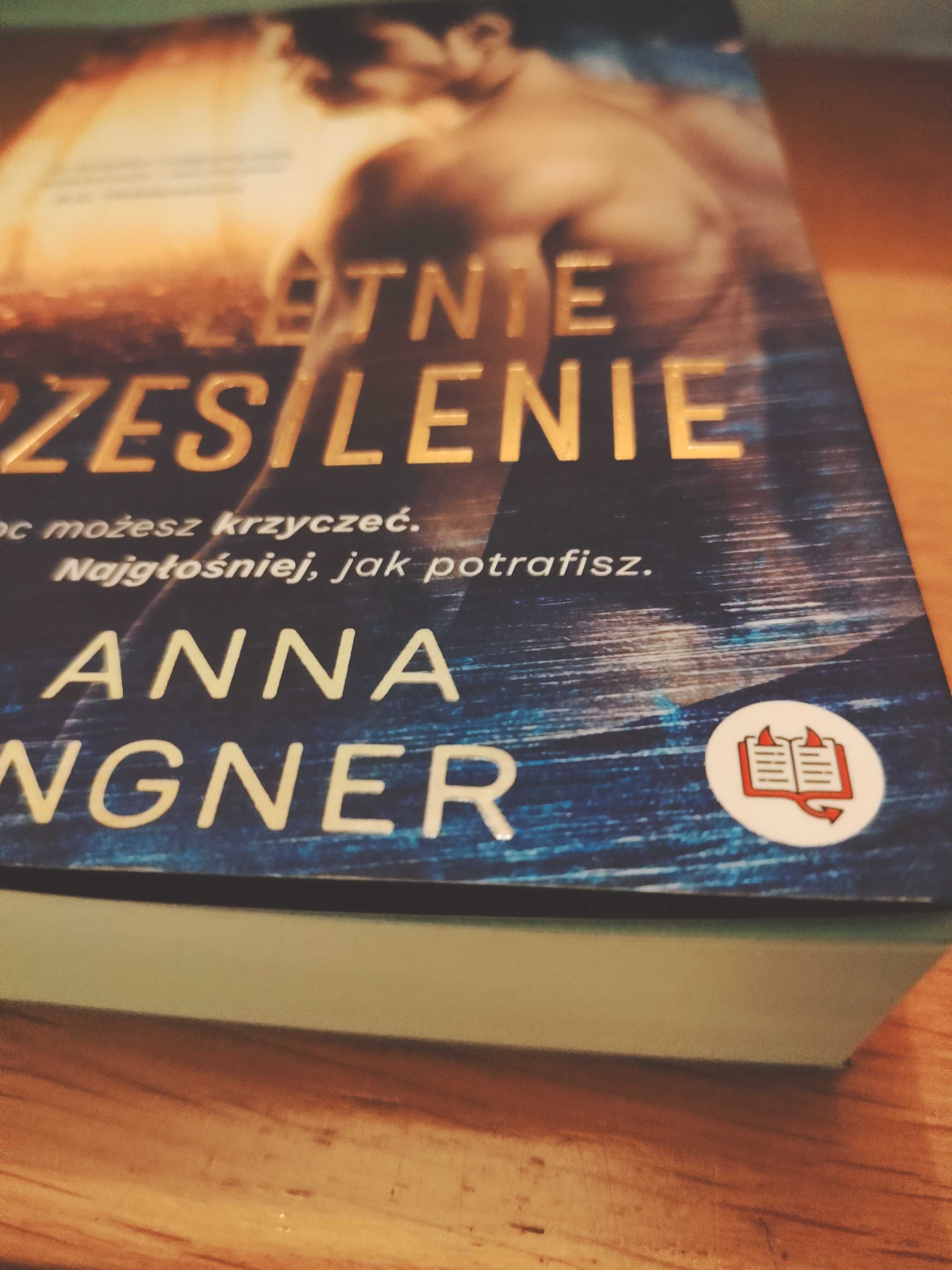 Letnie przesilenie - Anna Langner