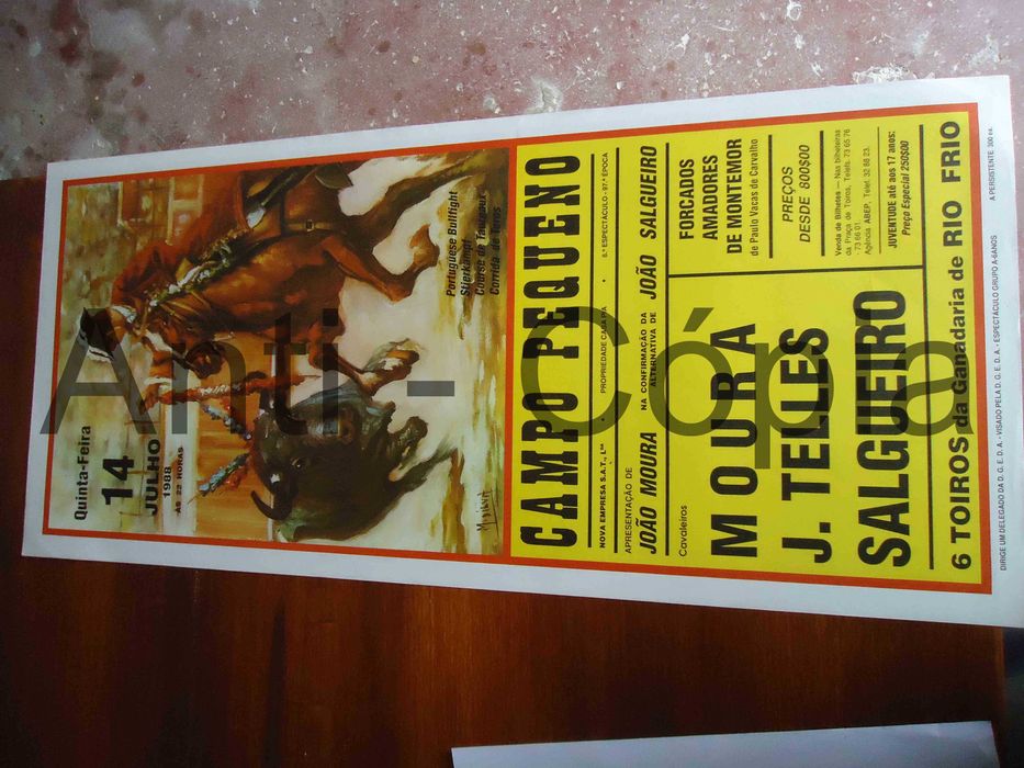 Toiros - Cartazes de Montra 2