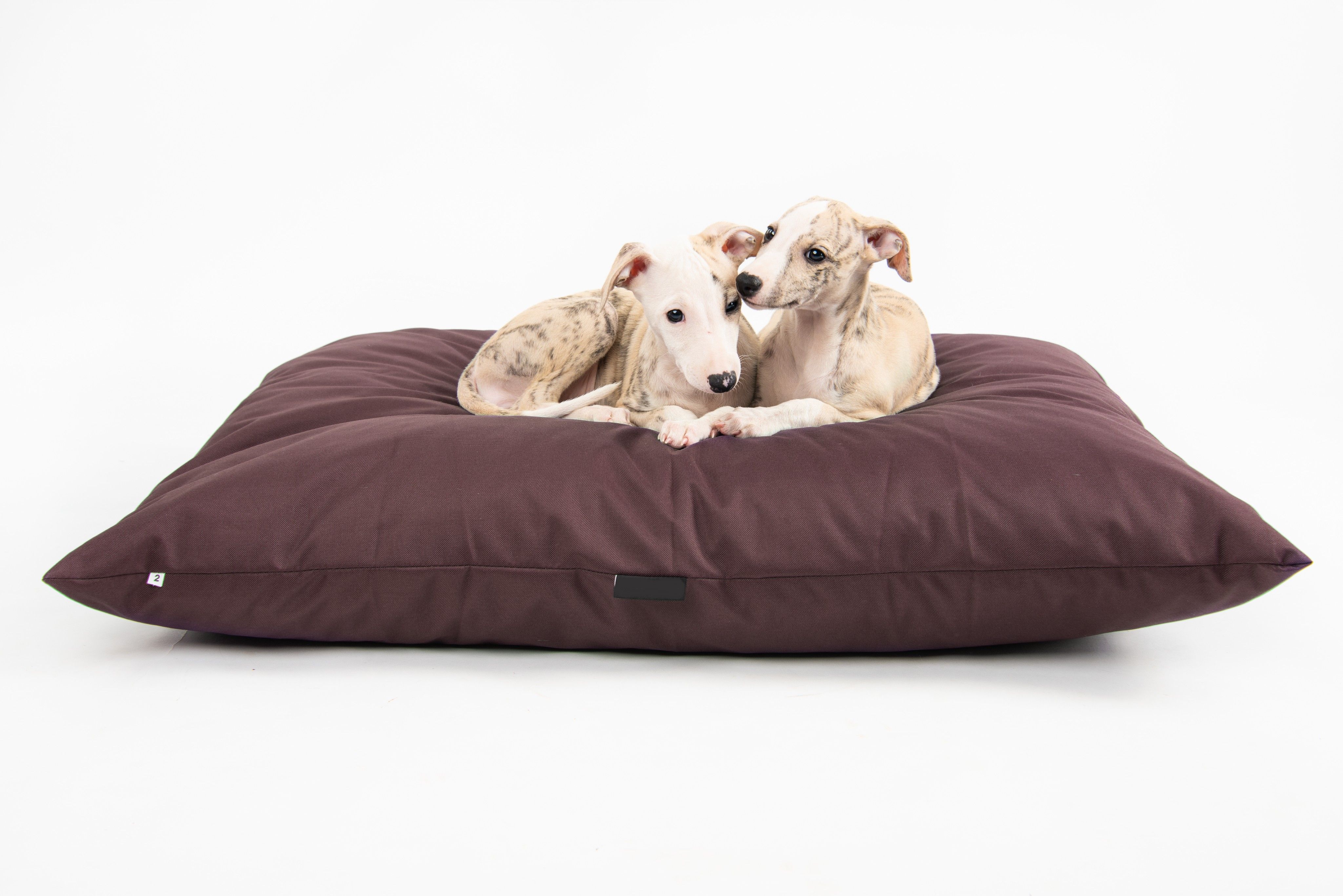 Wodoodporne legowisko poduszka dla psa ZOE (60x50 cm, Brąz)