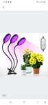 Lampa Led do uprawy roślin