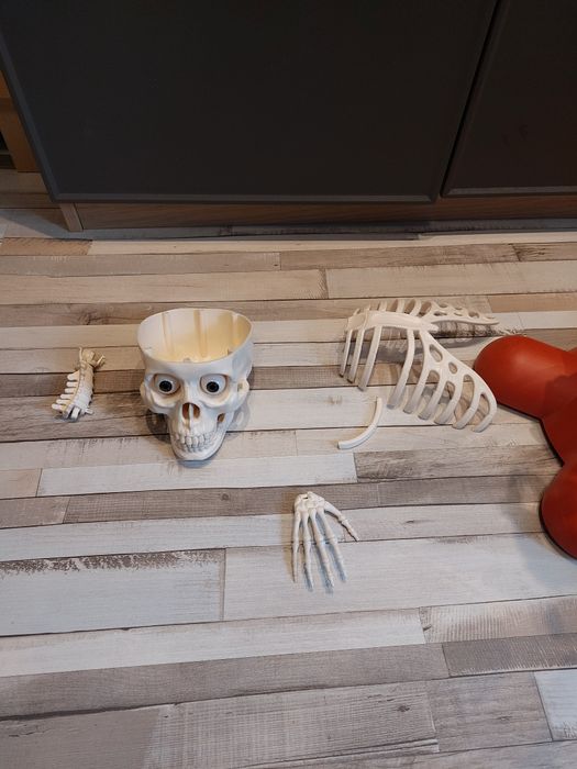 Kostek kosciotrup szkielet człowieka z gazetek