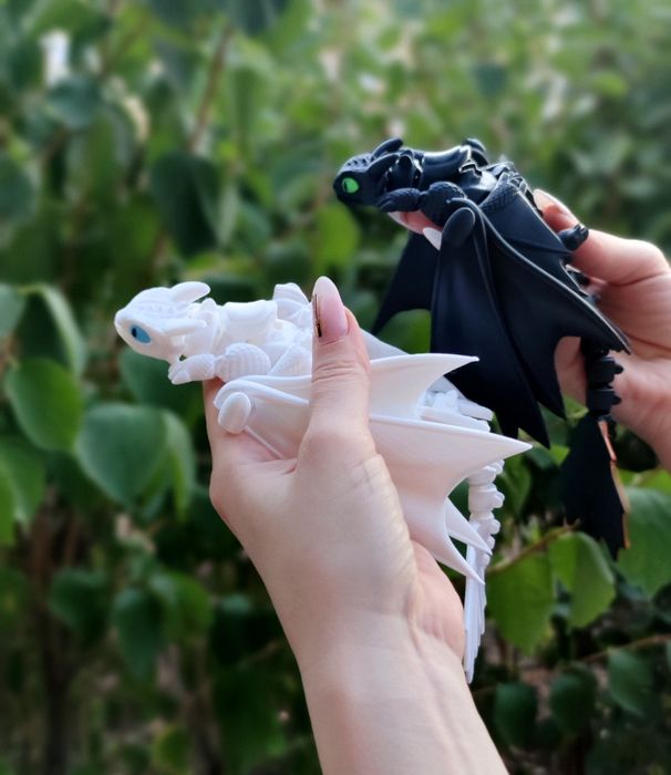 Нічна та Денна Фурії ,як приборкати дракона, Безубик