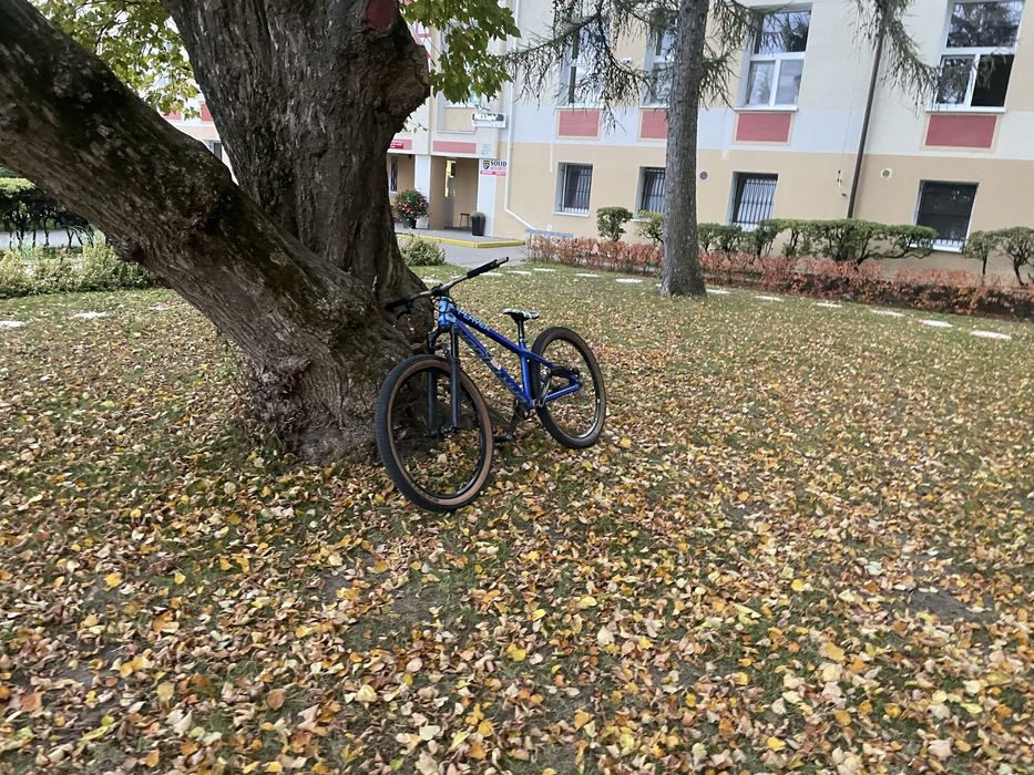 Dartmoor 26player long fox 34/ 26player