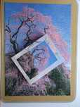 Puzzle japones Yanoman