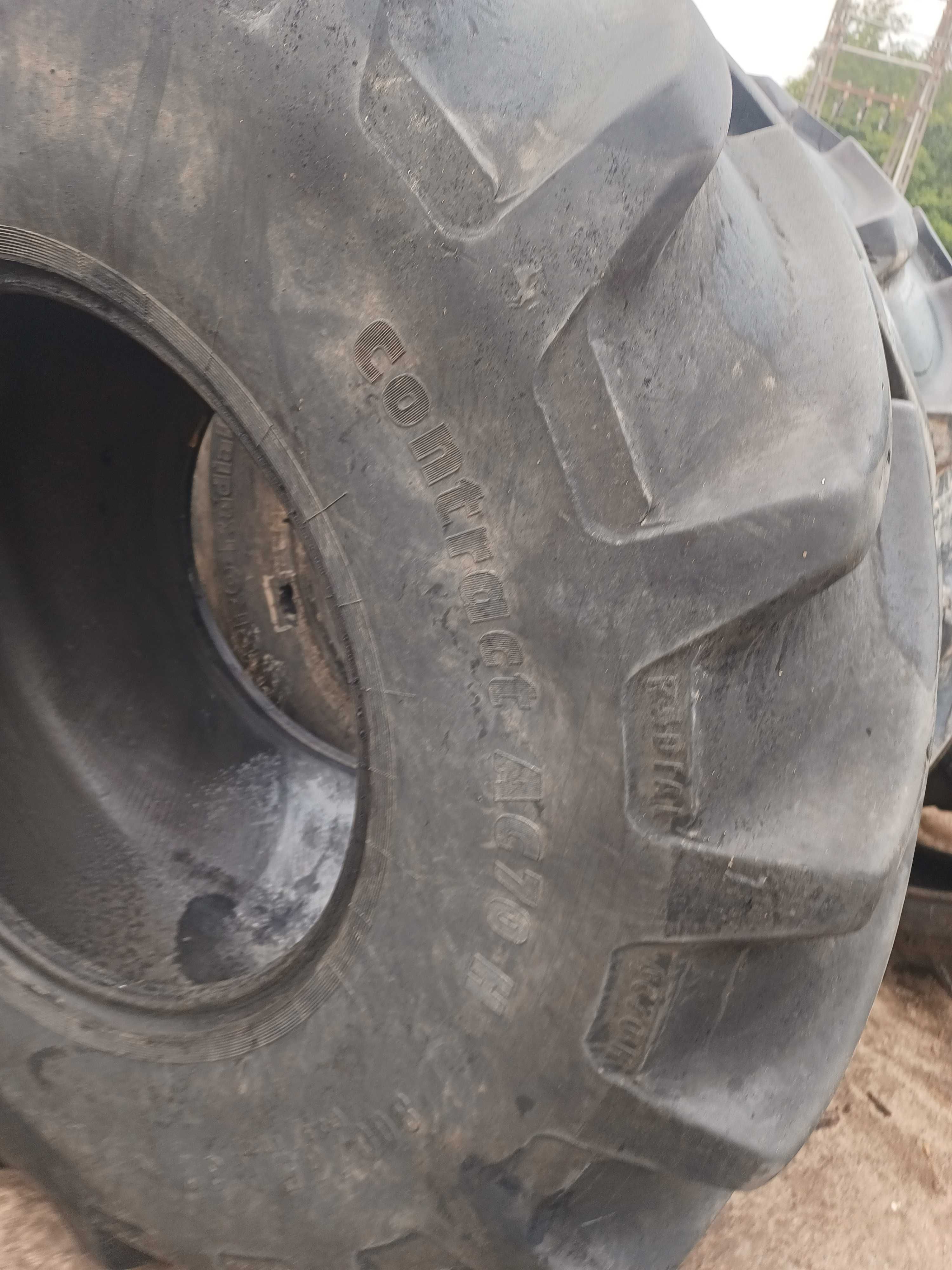 Opona rolnicza 800/65r32 kombajn Claas Fendt John Deere Continental
