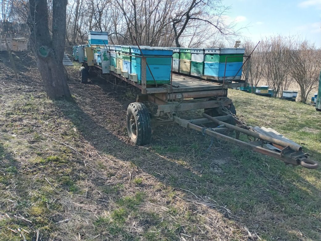 Причіп для бджіл