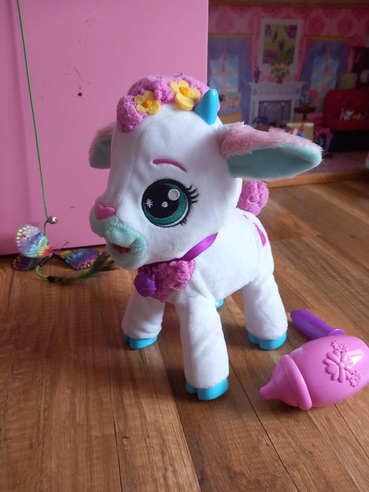 Interaktywna kózka Zuzia