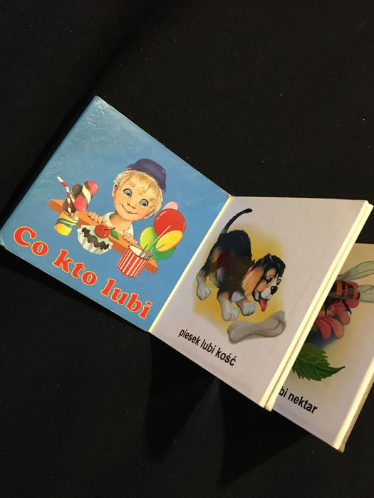 Książeczka, moje pierwsze słowa