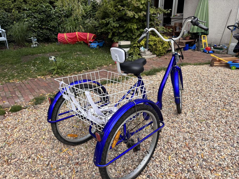 Rower Dla Niepelnosprawnych 24 cale 6 biegow Rehtime 2