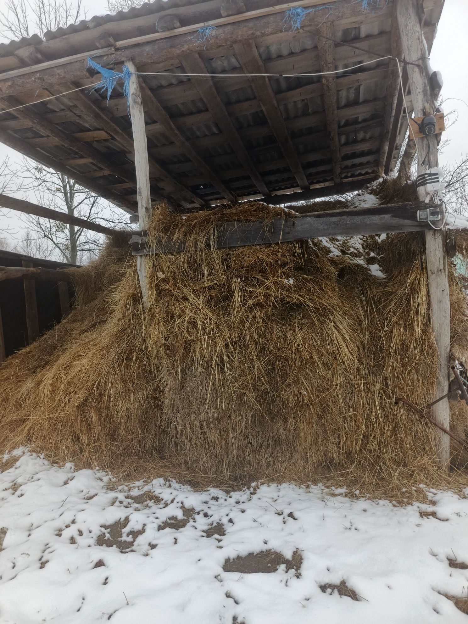 Сіно природніх трав