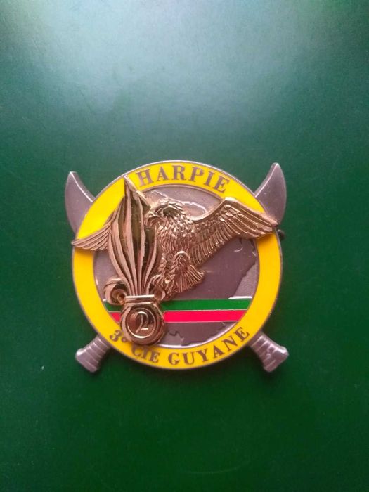 Значек . Французский иностранный легион. Знак Франция.