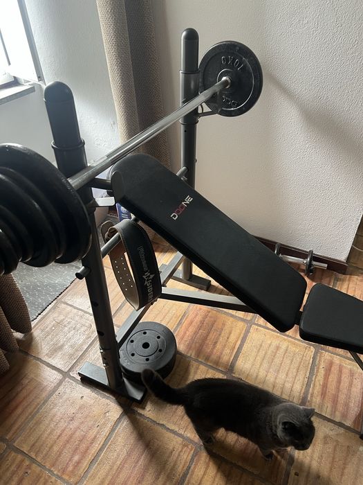 Banco ginasio mais barra e alteres