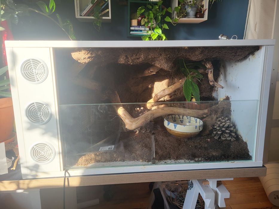 Terrarium 60x43x46