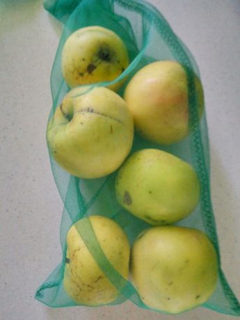 экомешочки (торбочки для покупок) фруктовка