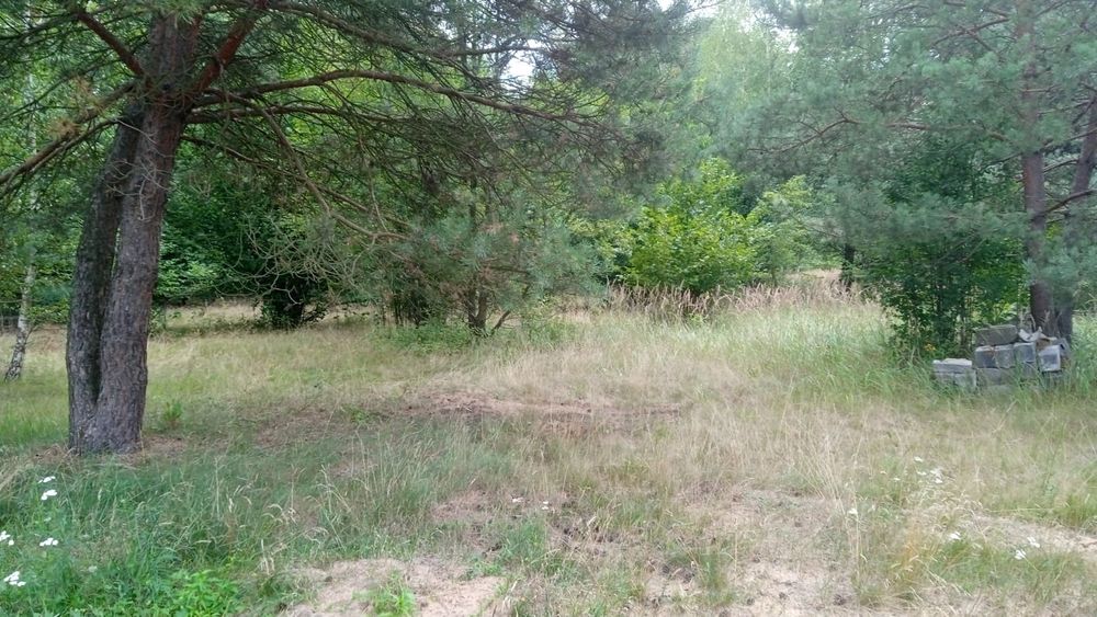 Sprzedam ładne działki budowlane Wąsosz