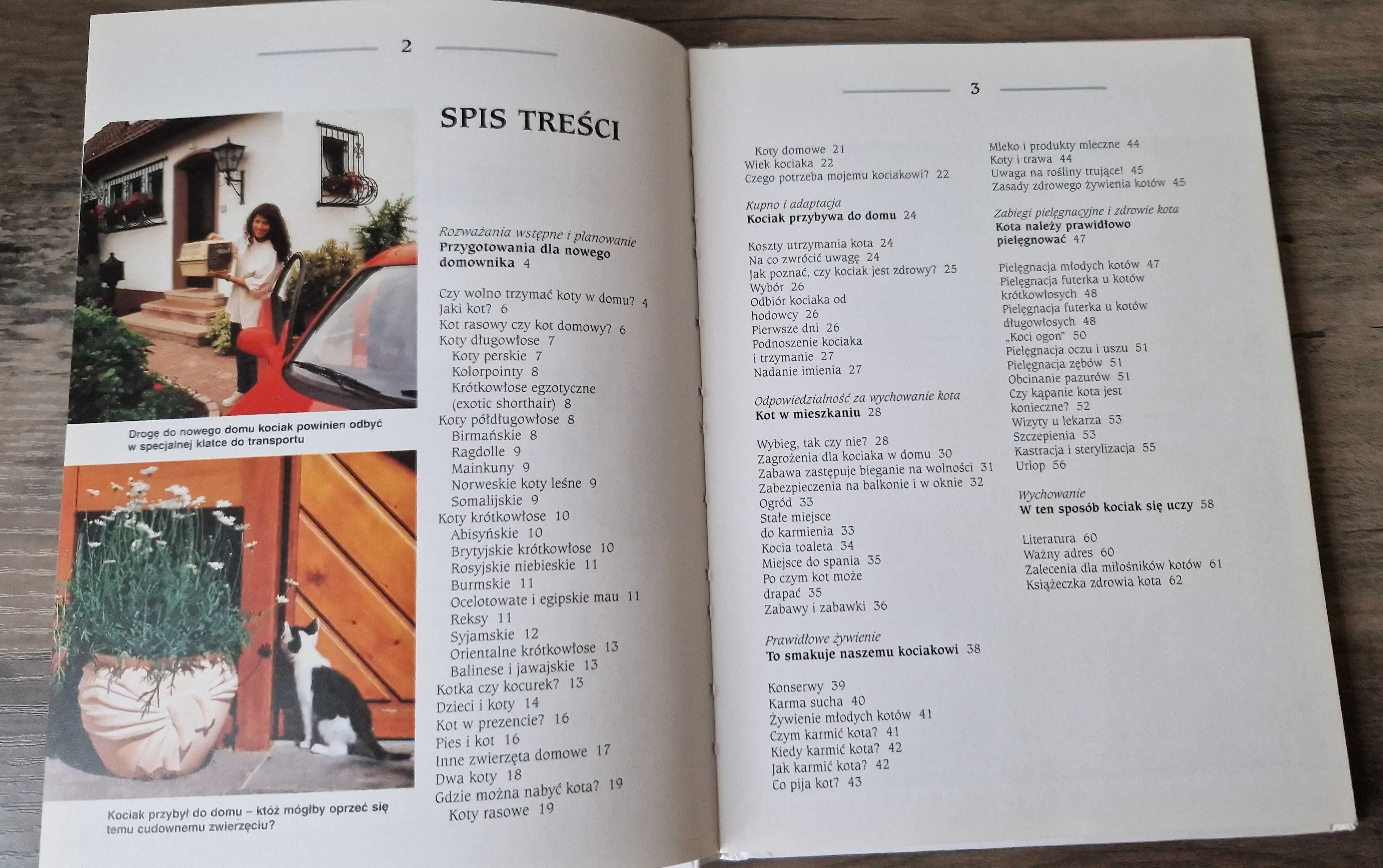 Kociak przybywa do domu Hannelore Grimm stan bdb