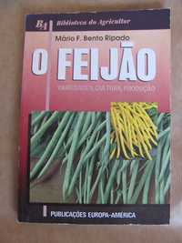 O Feijão de Mário F. Bento Ripado